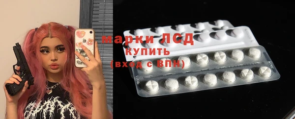 хмурый Арсеньев