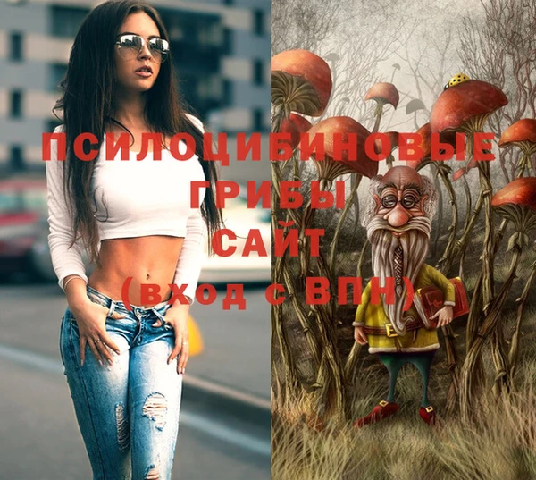 a pvp Балахна